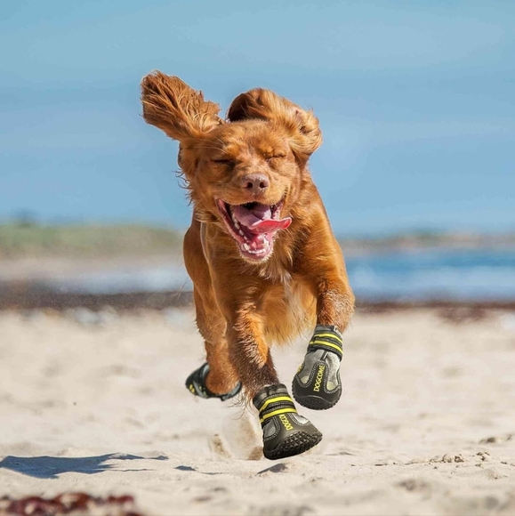 Dog Shoes- Boots - Picture 11 of 12